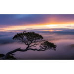 Cloud Contact Center – The Truth About Hybrid Fit
